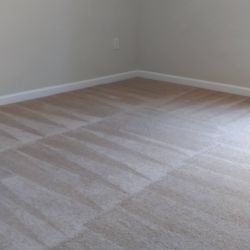 Carpet Steam Cleaning 
