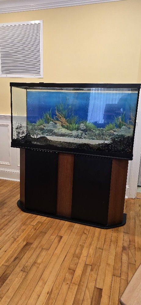 70 Gallon Fish Tank With Stand For Sale.