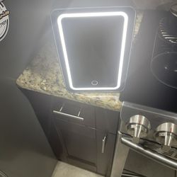 Vanity Light Skincare Fridge 