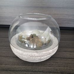 Glass and Stone Terrarium - 6.5Hx8Round