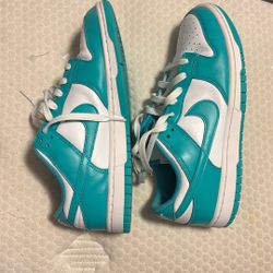 Size 8.5 Nike Dunk Low Retro BTTYS