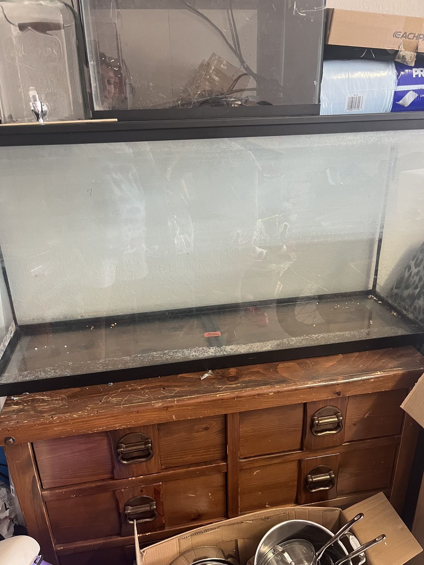 55gal Tank