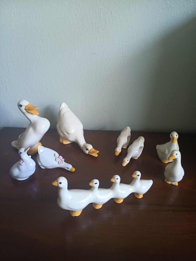 Flock Of Ducks