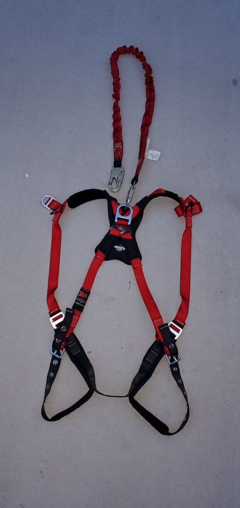Protecta Harness