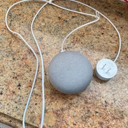 Google Home Bluetooth Speaker