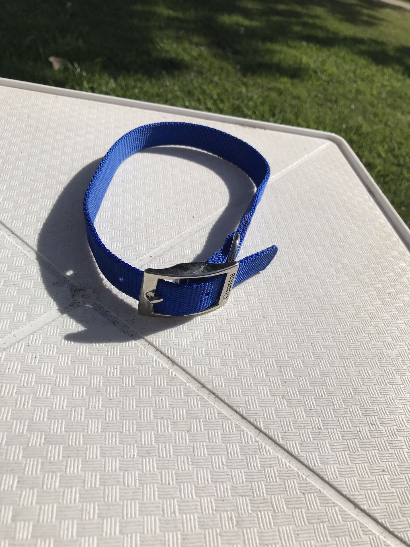 Blue Medium Dog Collar