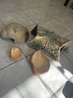 Reptile