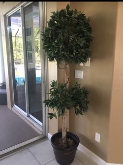 Topiary tree in decorative pot with lights