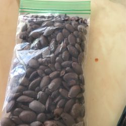 Guanabana Soursup Seeds