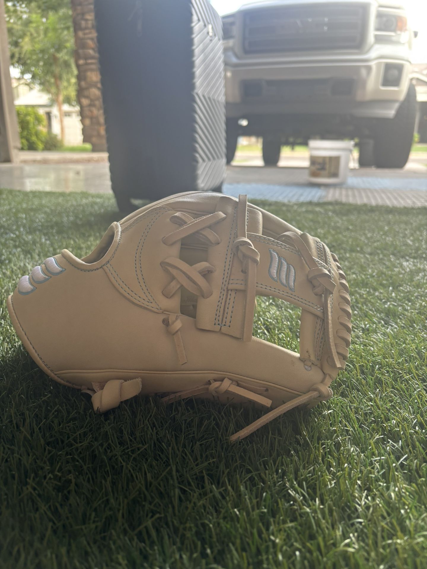 Infield Glove (baseball)