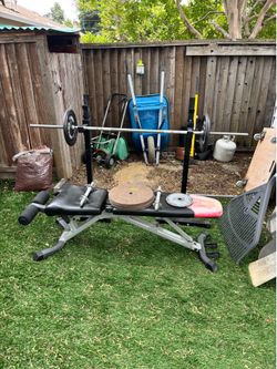Weights, bench, stands