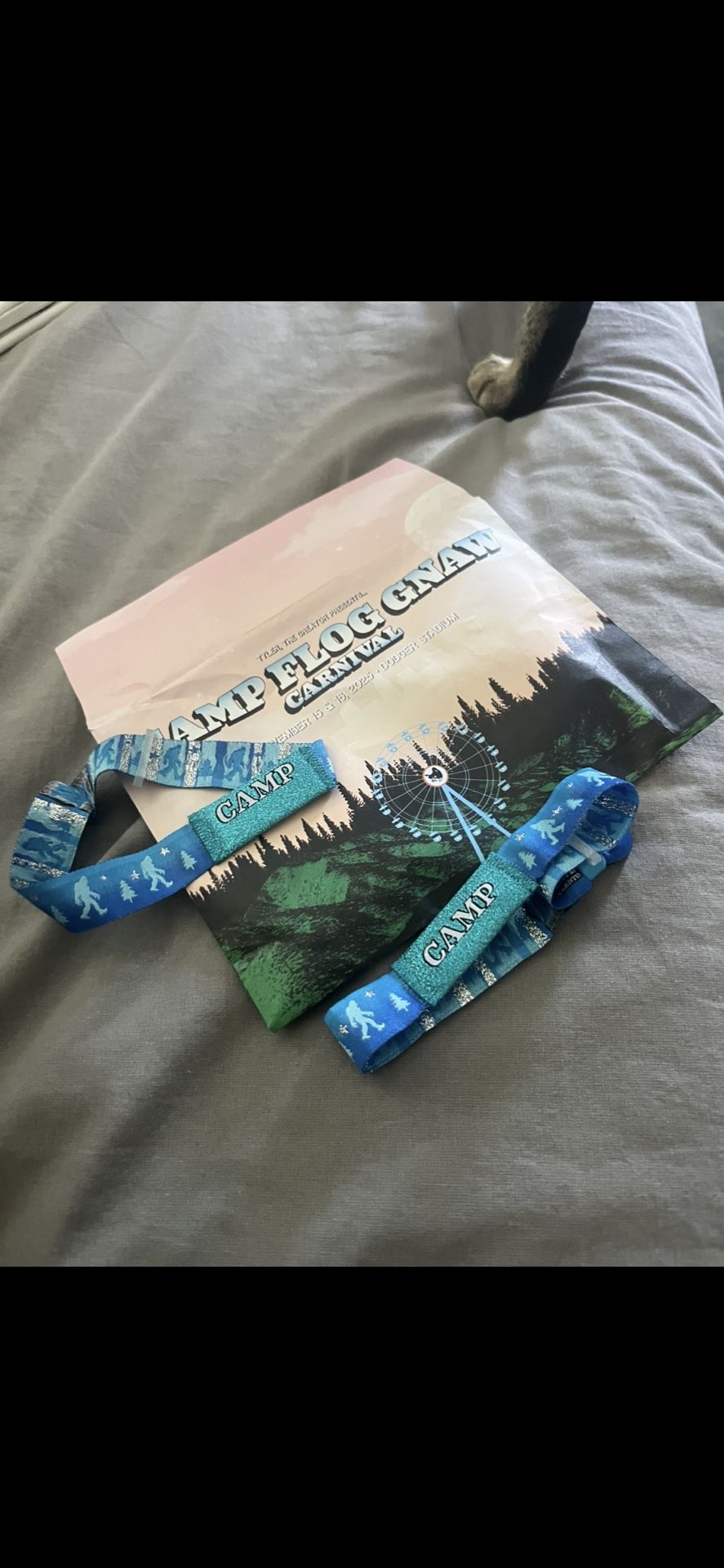 Camp Flog Gnaw Tickets 2 Days