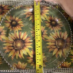 Dinning plates 