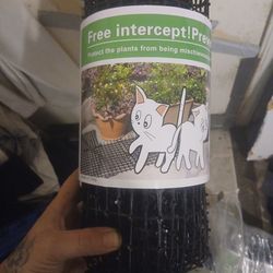 Intercept. Protect your plants from cats.