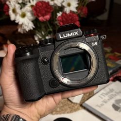 panasonic lumix s5 full frame 20-60mm lens