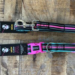 Fun Neon Pet Leash & Collar