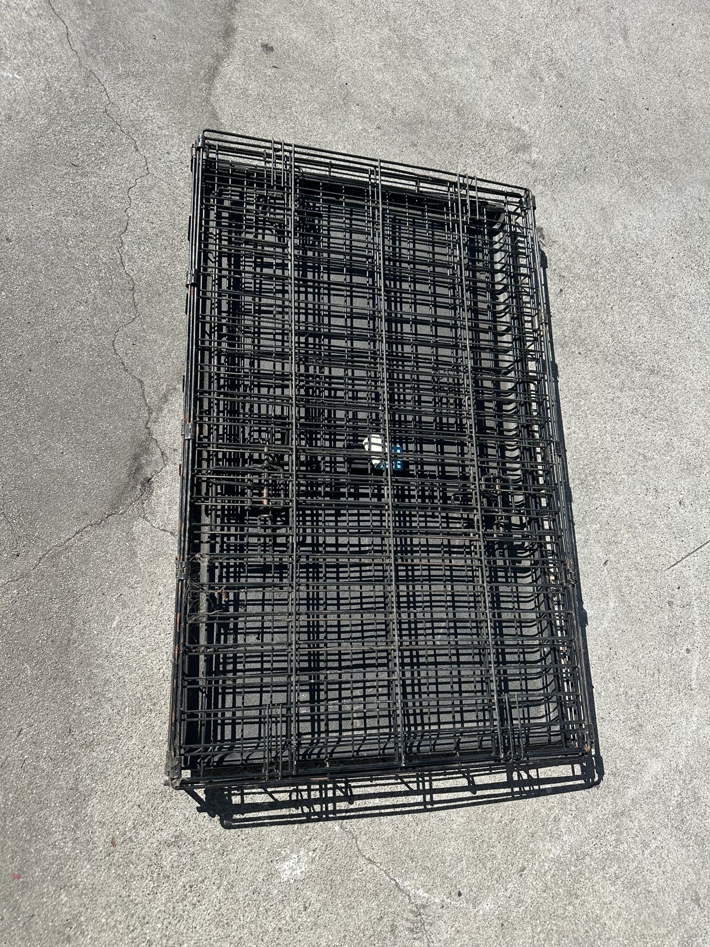Black Dog Crate