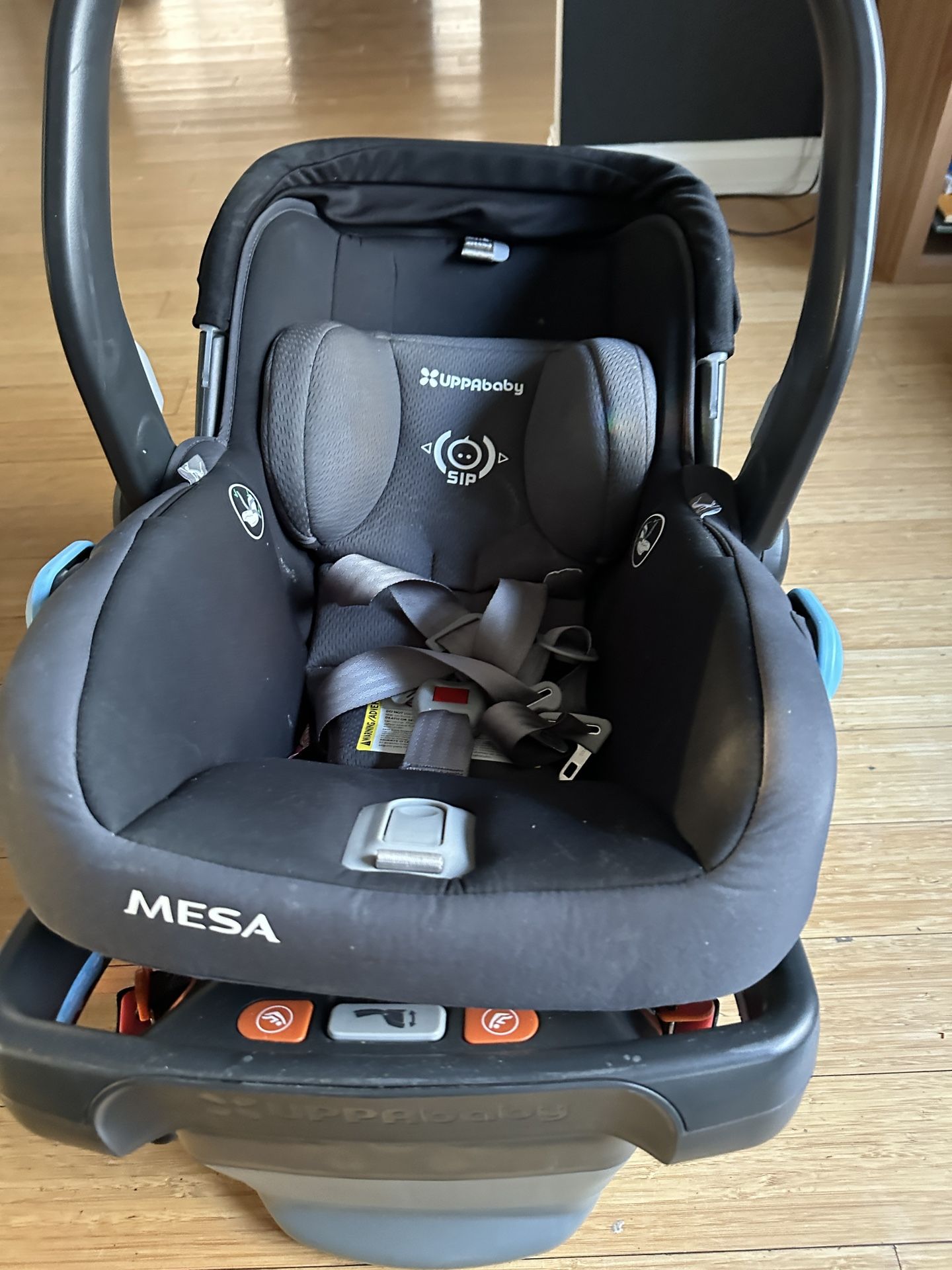 UPPAbaby Infant Car Seat & Base