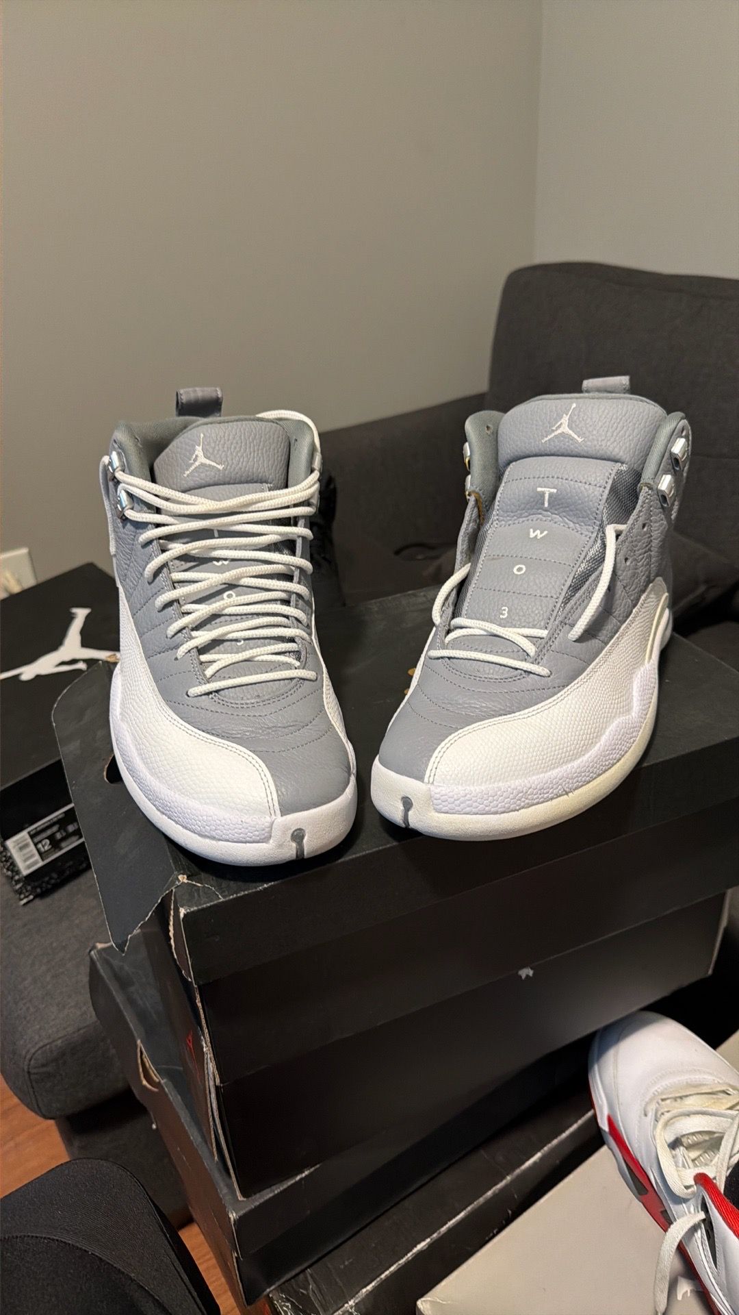Jordan 12 stealth size 12