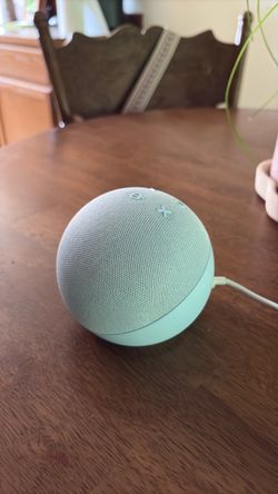 Echo Dot