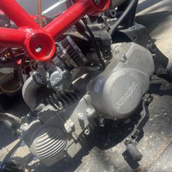 Piranha 140cc Motor 