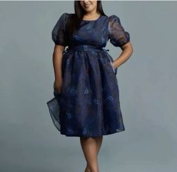 Disney's vault 70th anniversary dress $25