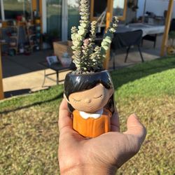 Potted Succulent 