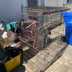 Bird Cage And Dog Cage