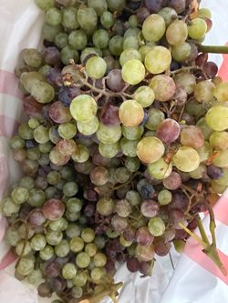 $3/lb home grown Grapes
