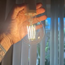 Edison Style LED Bulbs 