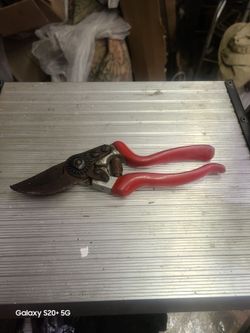 Pruner