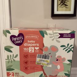 Size 2 Parents Choice Diapers 