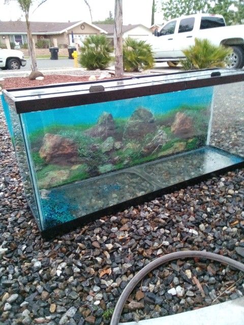 Aquarium With Light And Pumps