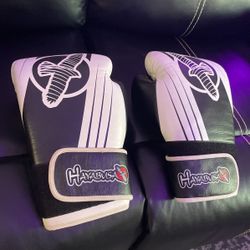 18oz Hayabusa Boxing Gloves