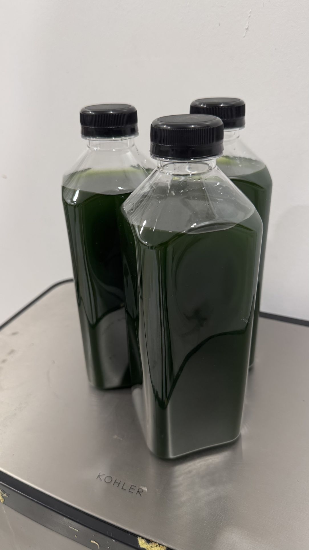 Phytoplankton, Really high concentration. 32oz