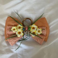 Disney bow
