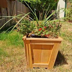 Cedar Planter Boxes