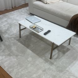 BRAND NEW 9 X12 Rugs