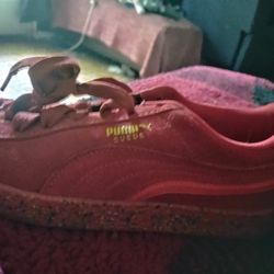 Puma Shoes 