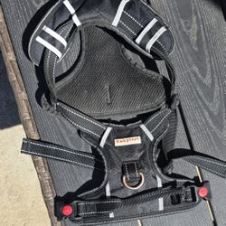 Dog Harness Baby LTRL