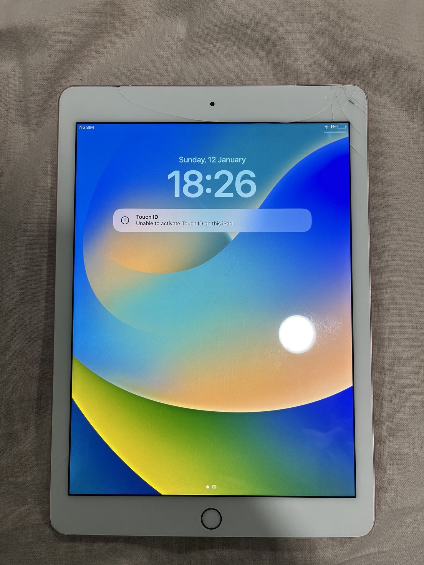 iPad