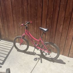 Pink Bike 