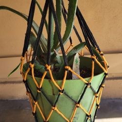 String  Pot Hanger 