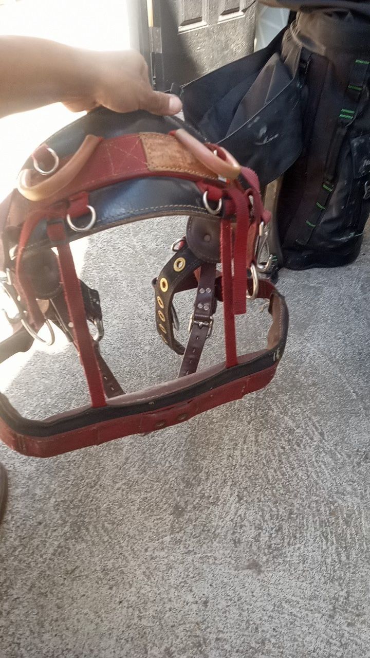 Tree Climbing Belt And Backpack