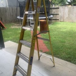 6 Ft Ladder