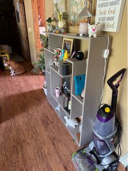 Living room shelve