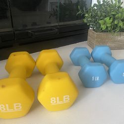 10 & 5 LB Dumbbells 
