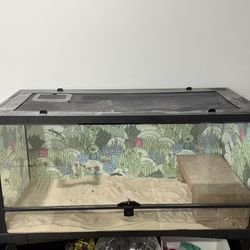 Terrarium 40 Gallon