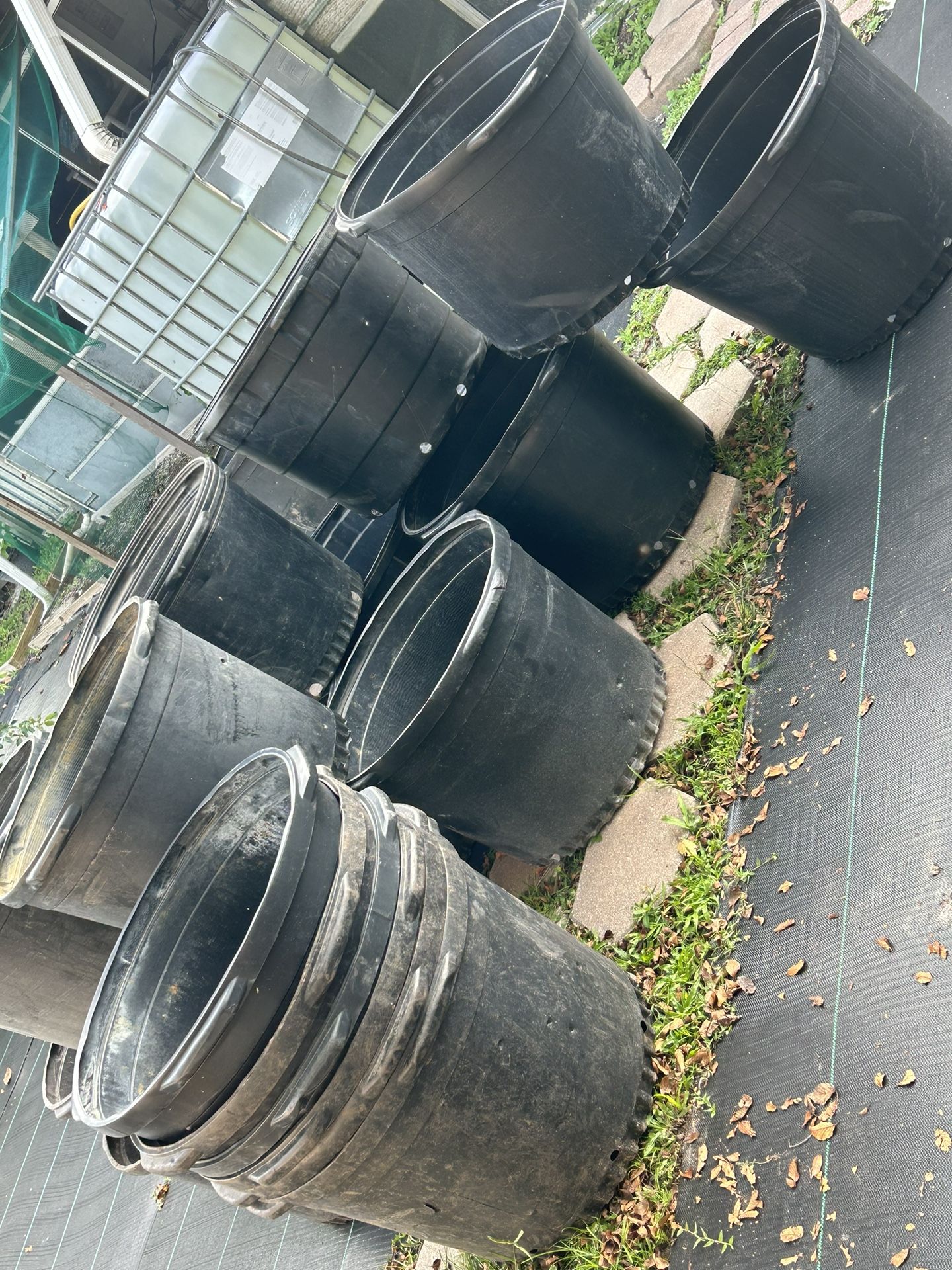 Post Used 25 Gal 12.00 Each Kissimmee Bvl Oceola for Sale in Bvl, FL