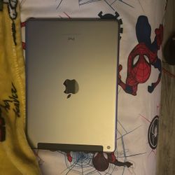 iPad Model A1823